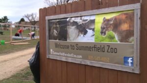 summerfield zoo