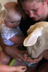 Wee Farm, Petting Zoo for more than wee kids