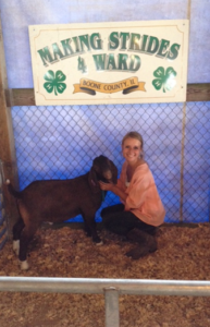 My 4-H Story: Getting started in 4-H