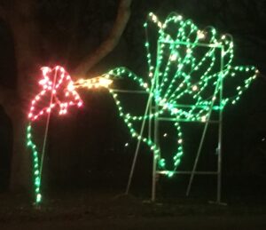 Belvidere Park District features light display