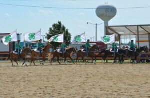 Success continues for Ogle County 4-H Horse Drill Team