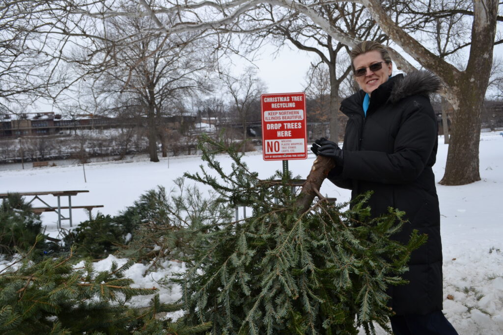 13 Christmas Tree Recycling Sites to Open Jan. 1-15