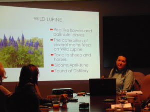 WBBN learns about Wildflowers in Boone County