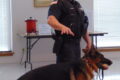ANNE EICKSTADT PHOTO Belvidere Republican
	Officer Parker discusses his K-9 partner, Officer Monti, and his skills and abilities during the Citizen’s Police Academy.