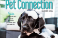Pet Connection for Summer 2019