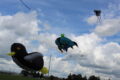 ANNE EICKSTADT PHOTO Belvidere Republican
	Huge kites filled the sky at Prairie Fields Sports Park on Saturday, Sept. 7.