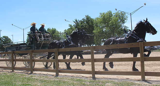 First Boone County Draft Horse Classic is a big success