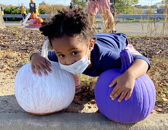 Smash your pumpkin at Discovery Center Museum