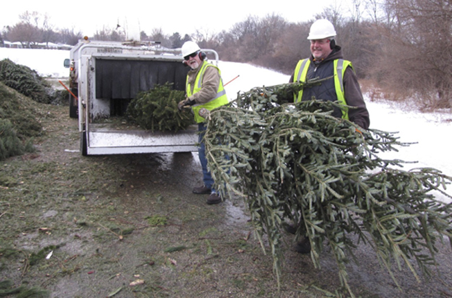 KNIB offering tree recycling at several locations in Winnebago County