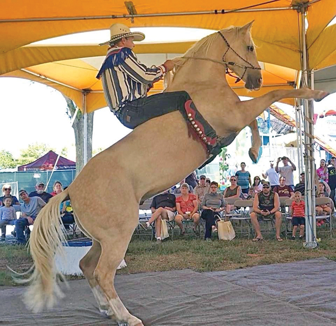 Boone County Fair entertainment