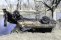 SUBMITTED/FILE PHOTO The Gazette
	This 1966 Impala with skeletal remains inside was hoisted from the Pecatonica River by a crane on March 11. In a press release sent by the Winnebago County Coroner’s Office last week, it was revealed the skeletal remains were that of two missing men from 1976.